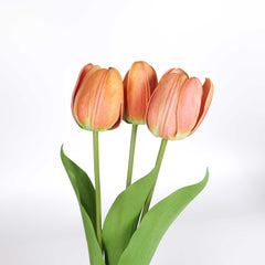 3 Stems Tulip Bunch 49cmH 3 Stems Tulip Bunch 49cmH