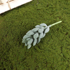 Artificial Succulent (Type 16) Artificial Succulent (Type 16)
