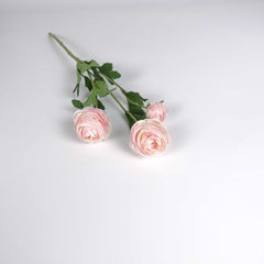 3 Heads Ranunculus Stem in Pink 40cmH 3 Heads Ranunculus Stem in Pink 40cmH