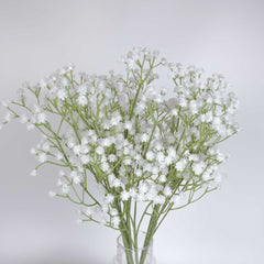 3 Stems Gypsophila Baby's Breath Spray 63cmH 3 Stems Gypsophila Baby's Breath Spray 63cmH