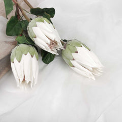 Artificial Queen Protea Stem 67cmH Artificial Queen Protea Stem 67cmH