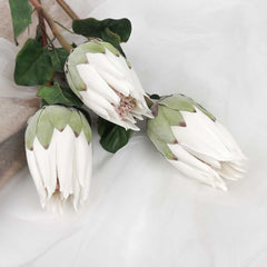 Artificial Queen Protea Stem 67cmH Artificial Queen Protea Stem 67cmH