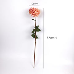 Dahlia Flower Stem Peach Orange Dahlia Flower Stem Peach Orange