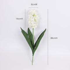 Hyacinth Stem in Cream White Hyacinth Stem in Cream White