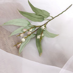 Eucalyptus Pod Spray 48cmH Eucalyptus Pod Spray 48cmH