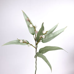Eucalyptus Pod Spray 48cmH Eucalyptus Pod Spray 48cmH