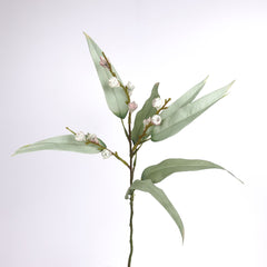 Eucalyptus Pod Spray 48cmH Eucalyptus Pod Spray 48cmH