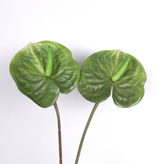 2pcs Anthurium Stem Green 60cmH 2pcs Anthurium Stem Green 60cmH