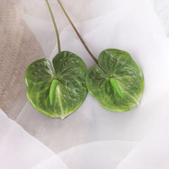 2pcs Anthurium Stem Green 60cmH 2pcs Anthurium Stem Green 60cmH