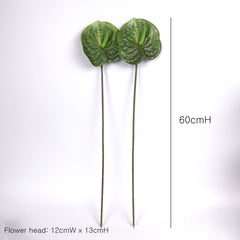 2pcs Anthurium Stem Green 60cmH 2pcs Anthurium Stem Green 60cmH