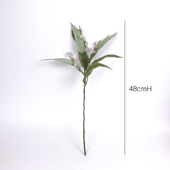 Eucalyptus Pod Spray 48cmH Eucalyptus Pod Spray 48cmH