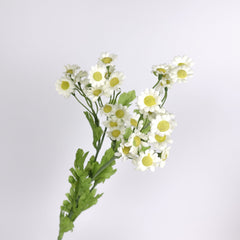 Daisy Flower Spray Daisy Flower Spray