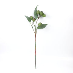 Eucalyptus Gum Nut Branch 64cmH Eucalyptus Gum Nut Branch 64cmH