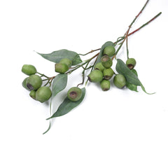 Eucalyptus Gum Nut Branch 64cmH Eucalyptus Gum Nut Branch 64cmH