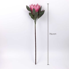 Big Size Protea King Flower Bloom 76cmH Big Size Protea King Flower Bloom 76cmH
