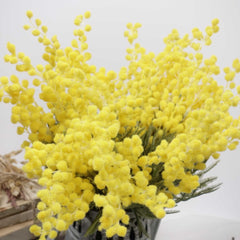 5 Stems Artificial Wattle Bouquet 42cmH 5 Stems Artificial Wattle Bouquet 42cmH