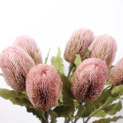 Dried-look Artificial Banksia Stem 65cmH Dried-look Artificial Banksia Stem 65cmH