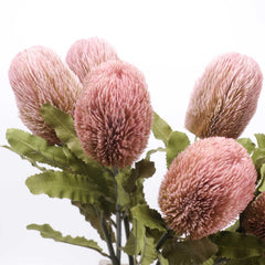 Dried-look Artificial Banksia Stem 65cmH Dried-look Artificial Banksia Stem 65cmH