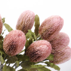 Dried-look Artificial Banksia Stem 65cmH Dried-look Artificial Banksia Stem 65cmH