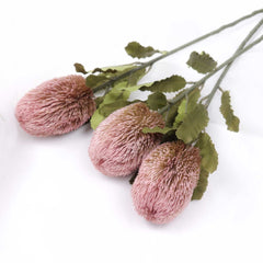 Dried-look Artificial Banksia Stem 65cmH Dried-look Artificial Banksia Stem 65cmH