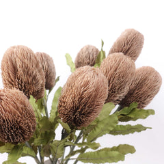 Dried-look Artificial Banksia Stem 65cmH Dried-look Artificial Banksia Stem 65cmH