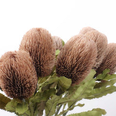 Dried-look Artificial Banksia Stem 65cmH Dried-look Artificial Banksia Stem 65cmH