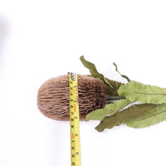 Dried-look Artificial Banksia Stem 65cmH Dried-look Artificial Banksia Stem 65cmH