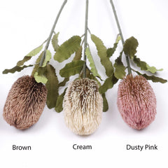 Dried-look Artificial Banksia Stem 65cmH Dried-look Artificial Banksia Stem 65cmH