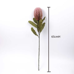 Dried-look Artificial Banksia Stem 65cmH Dried-look Artificial Banksia Stem 65cmH