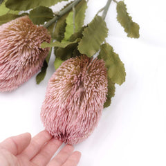 Dried-look Artificial Banksia Stem 65cmH Dried-look Artificial Banksia Stem 65cmH