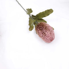 Dried-look Artificial Banksia Stem 65cmH Dried-look Artificial Banksia Stem 65cmH
