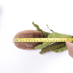 Dried-look Artificial Banksia Stem 65cmH Dried-look Artificial Banksia Stem 65cmH
