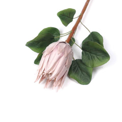 Artificial Queen Protea Stem 67cmH Artificial Queen Protea Stem 67cmH