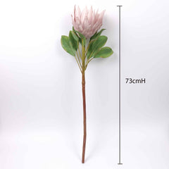 Big Size King Protea Flower Bloom 73cmH Big Size King Protea Flower Bloom 73cmH