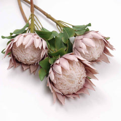 Big Size King Protea Flower Bloom 73cmH Big Size King Protea Flower Bloom 73cmH