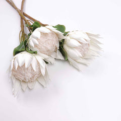 Big Size Artificial King Protea Flower Bloom 73cmH Big Size Artificial King Protea Flower Bloom 73cmH