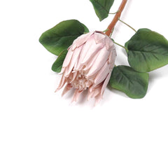Artificial Queen Protea Stem 67cmH Artificial Queen Protea Stem 67cmH