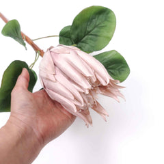 Artificial Queen Protea Stem 67cmH Artificial Queen Protea Stem 67cmH