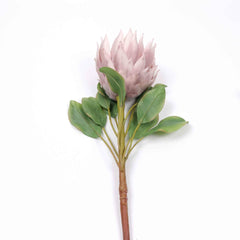 Big Size King Protea Flower Bloom 73cmH Big Size King Protea Flower Bloom 73cmH
