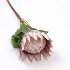 Big Size King Protea Flower Bloom 73cmH Big Size King Protea Flower Bloom 73cmH