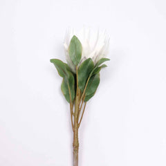 Big Size Artificial King Protea Flower Bloom 73cmH Big Size Artificial King Protea Flower Bloom 73cmH