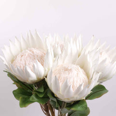 Big Size Artificial King Protea Flower Bloom 73cmH Big Size Artificial King Protea Flower Bloom 73cmH