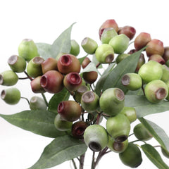 Eucalyptus Gum Nut Branch 64cmH Eucalyptus Gum Nut Branch 64cmH