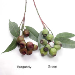 Eucalyptus Gum Nut Branch 64cmH Eucalyptus Gum Nut Branch 64cmH