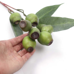 Eucalyptus Gum Nut Branch 64cmH Eucalyptus Gum Nut Branch 64cmH