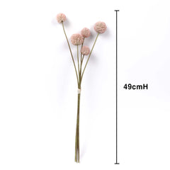 5 Stems Billy Button Bunch 49cmH 5 Stems Billy Button Bunch 49cmH
