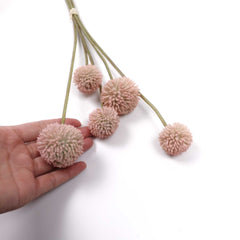 5 Stems Billy Button Bunch 49cmH 5 Stems Billy Button Bunch 49cmH