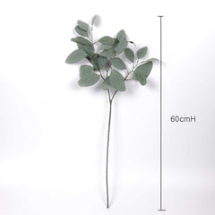 Eucalyptus Silver Dollar Spray 60cmH Eucalyptus Silver Dollar Spray 60cmH