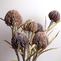 Artificial Banksia Sawtooth 63cmH Artificial Banksia Sawtooth 63cmH