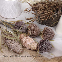 Artificial Banksia Sawtooth 63cmH Artificial Banksia Sawtooth 63cmH